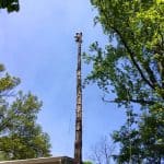 Tree Removal Near House