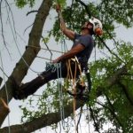 Mark Climbing With Rope